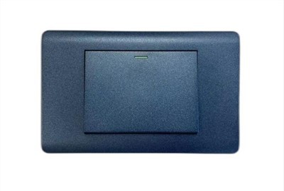 Interrupció general internacional